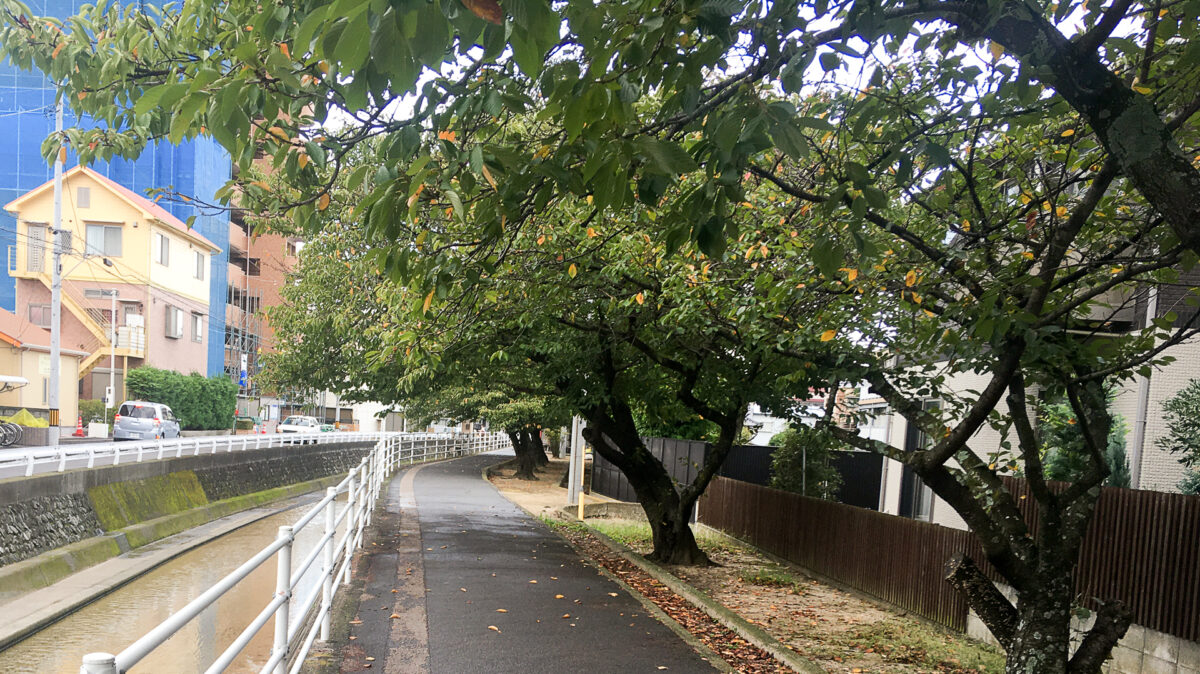 Matsuyama uit langs een stroompje