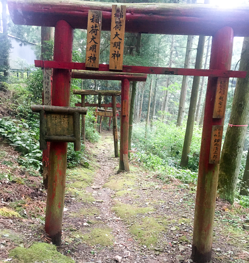 Shinto-bogen na een klim waarmee ik wat achterlaat bij tempel 60